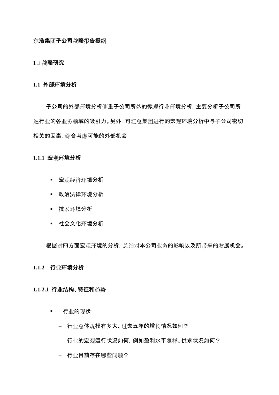 东浩集团战略报告提纲子公司.doc_第1页