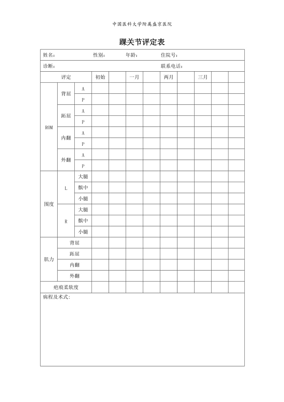 踝关节评定表_第3页