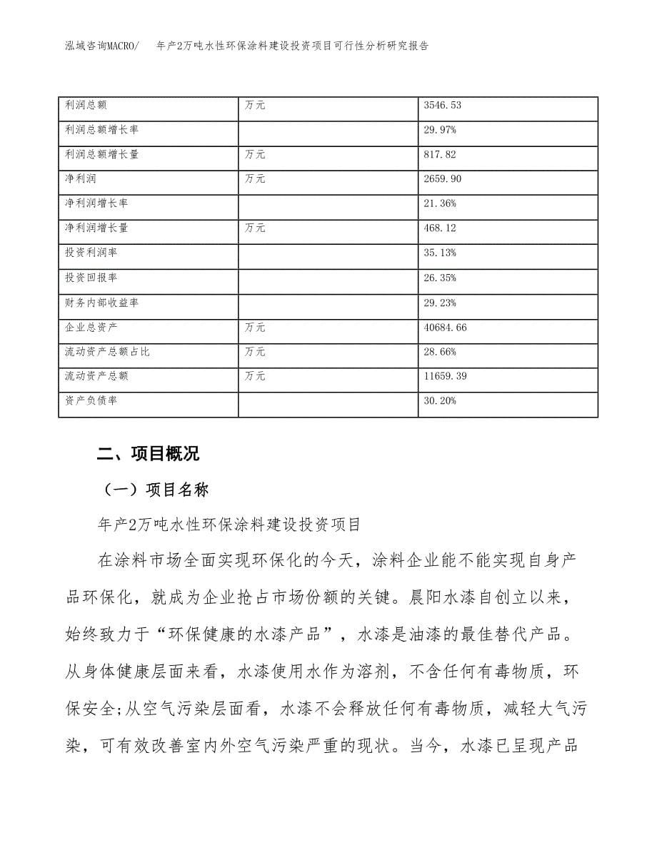 年产2万吨水性环保涂料建设投资项目可行性分析研究报告 (34)_第5页