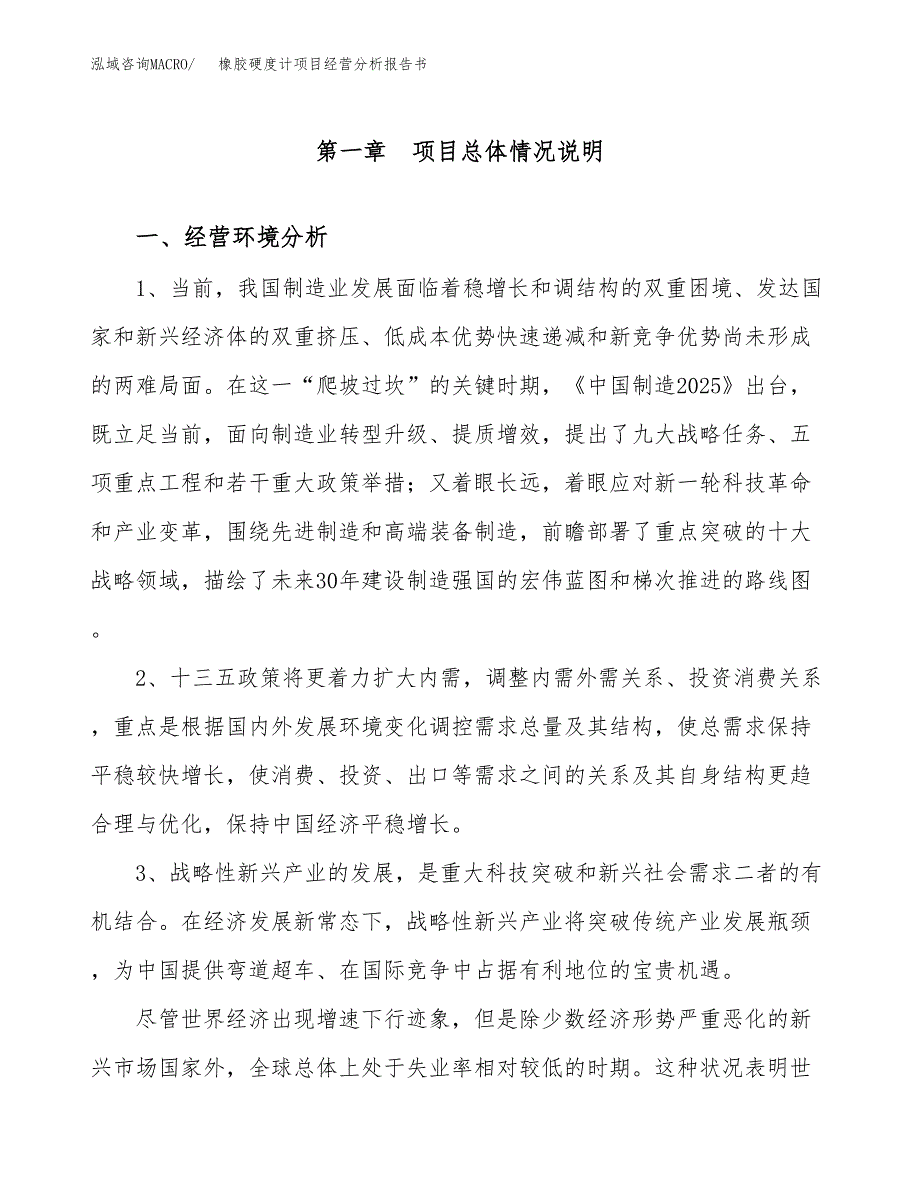 橡胶硬度计项目经营分析报告书（总投资9000万元）（35亩）.docx_第2页