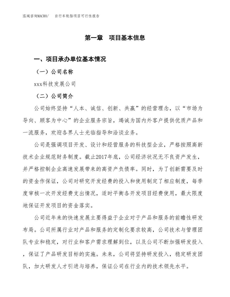 自行车轮胎项目可行性报告范文（总投资4000万元）.docx_第4页