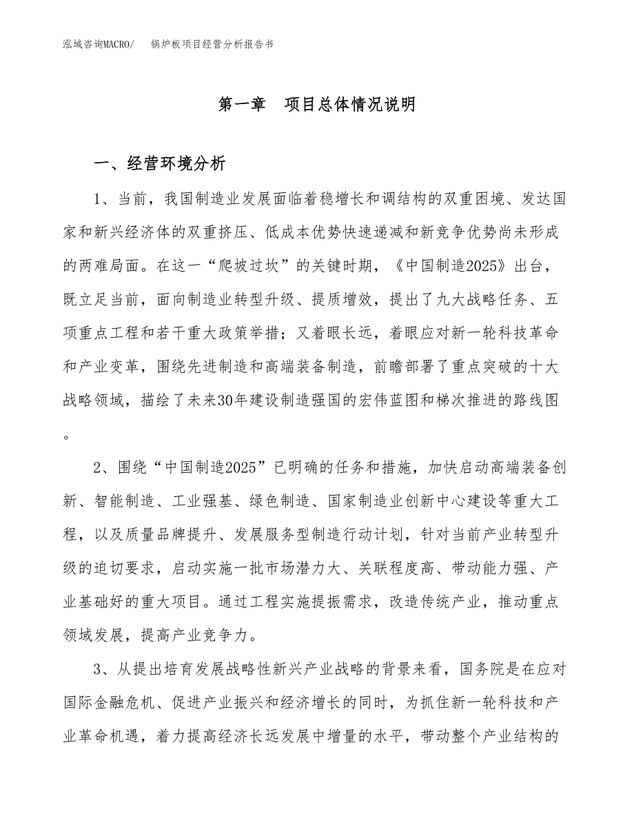 锅炉板项目经营分析报告书（总投资13000万元）（48亩）.docx_第2页