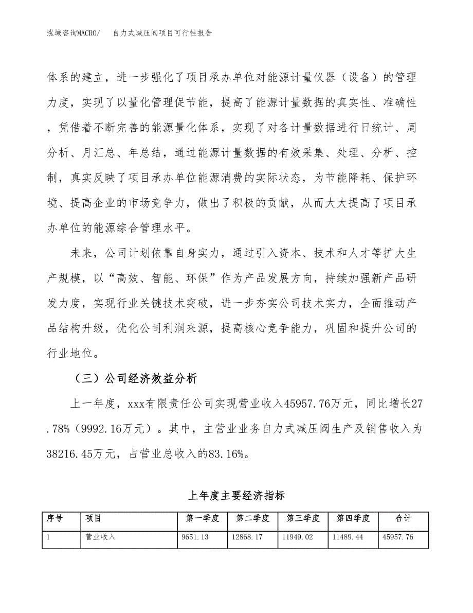 自力式减压阀项目可行性报告范文（总投资22000万元）.docx_第5页