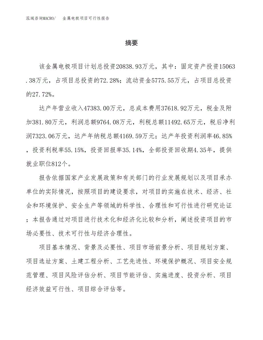 金属电极项目可行性报告范文（总投资21000万元）.docx_第2页