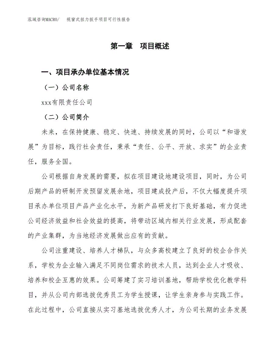 视窗式扭力扳手项目可行性报告范文（总投资9000万元）.docx_第4页