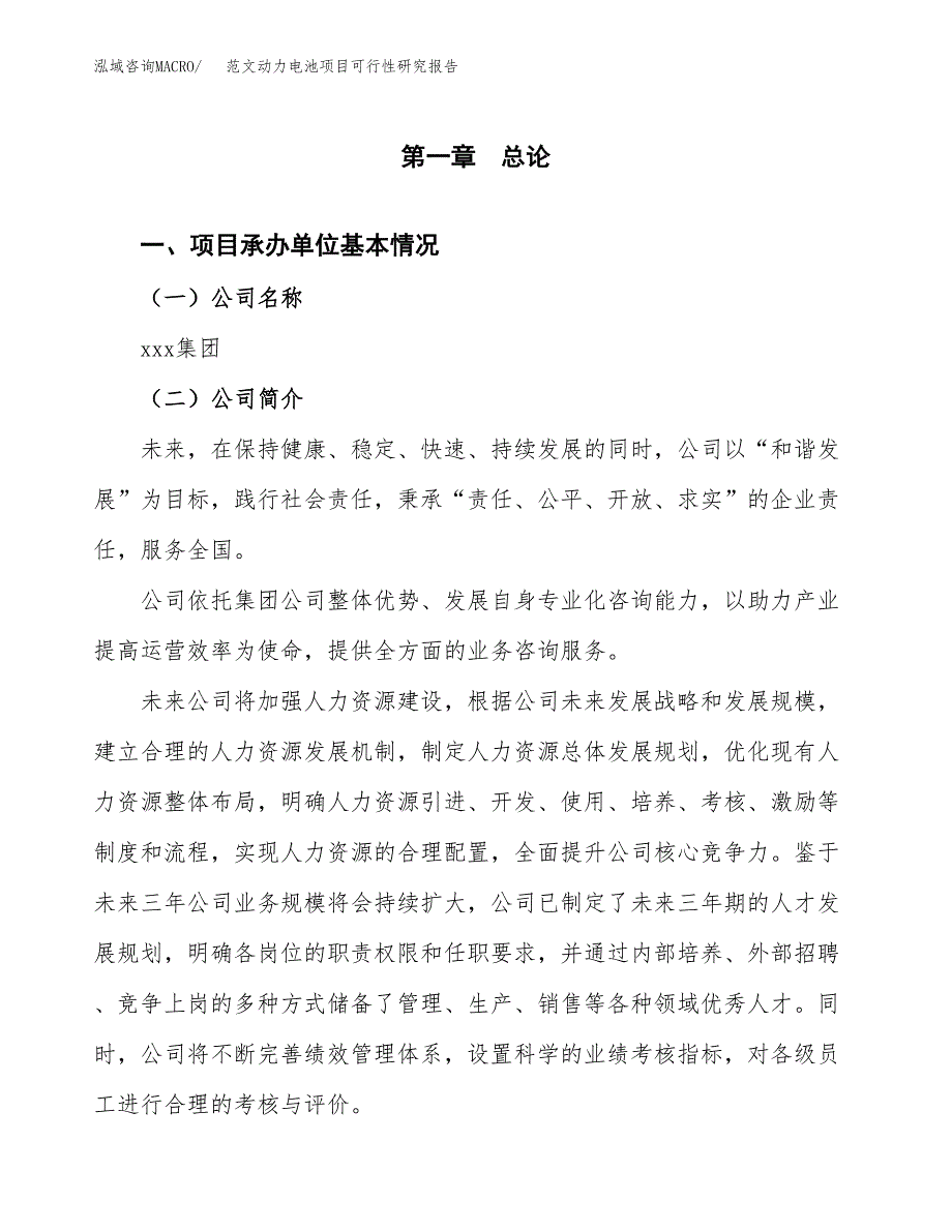 范文动力电池项目可行性研究报告(立项申请).docx_第4页