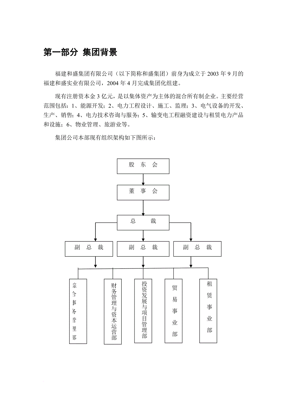 某公司发展战略征求意见稿.doc_第2页