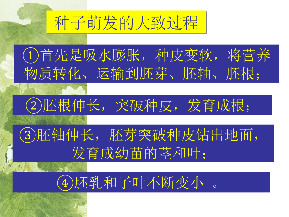 《被子植物的一生》复习课课件_第4页