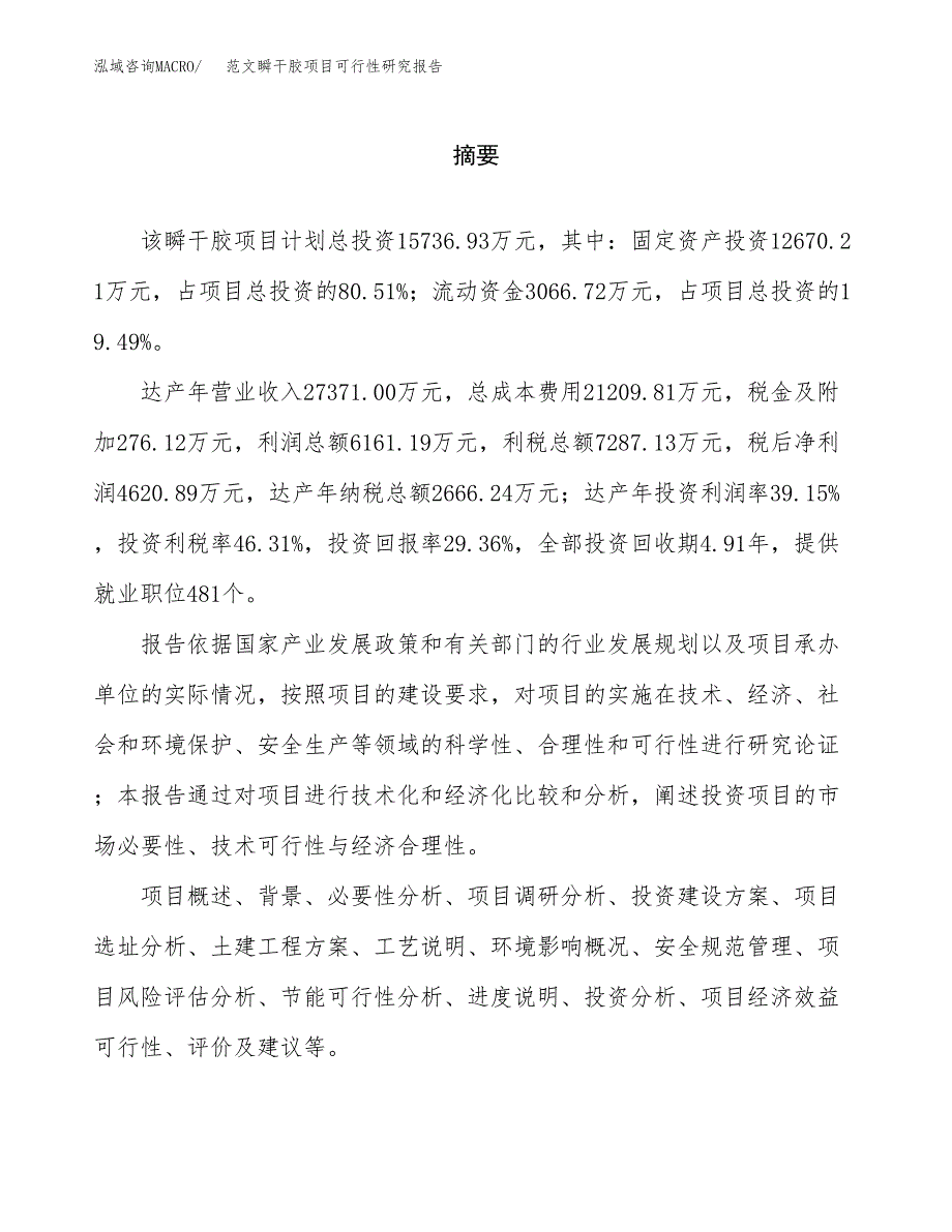 范文瞬干胶项目可行性研究报告(立项申请).docx_第2页