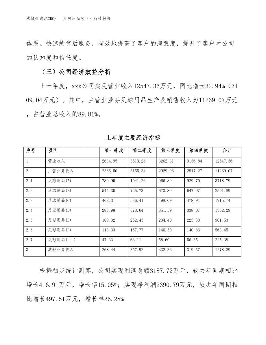 足球用品项目可行性报告范文（总投资8000万元）.docx_第5页