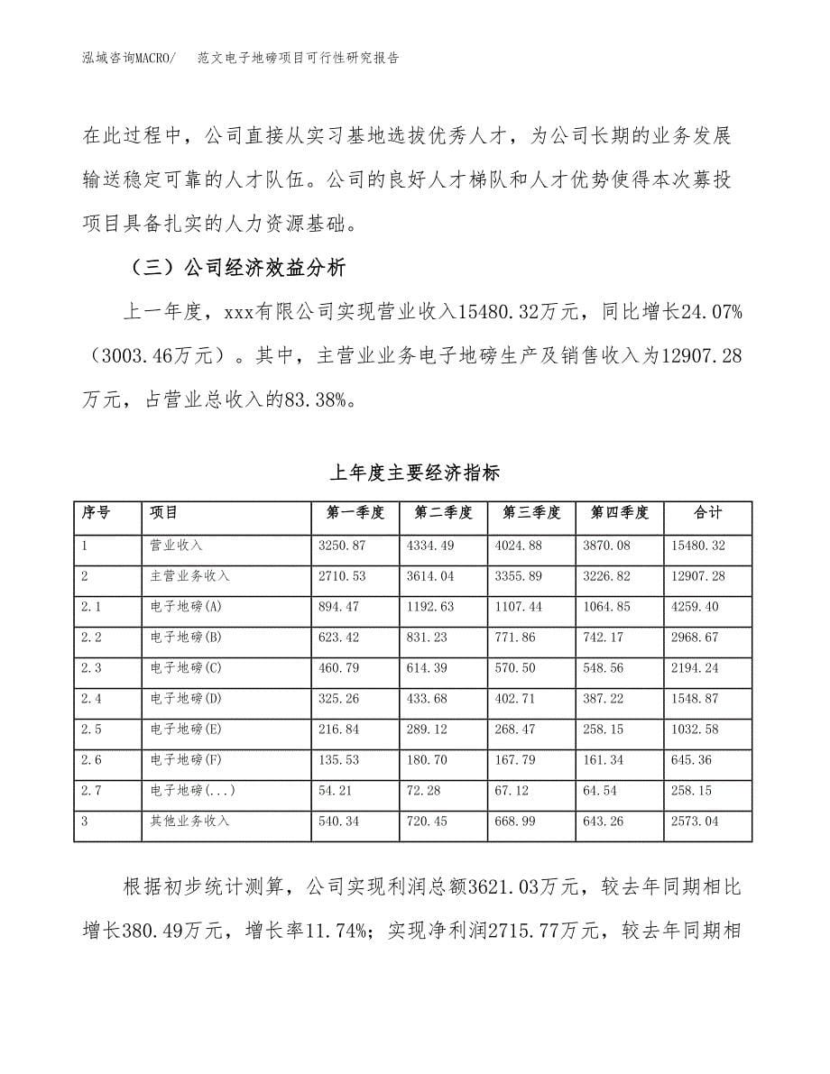 范文电子地磅项目可行性研究报告(立项申请).docx_第5页