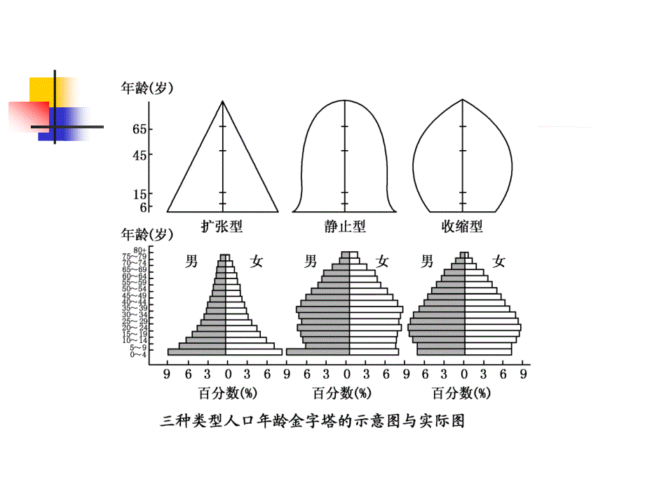 人口年龄结构金字塔_第2页