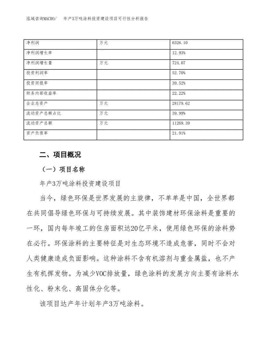 年产3万吨涂料投资建设项目可行性分析报告 (29)_第5页