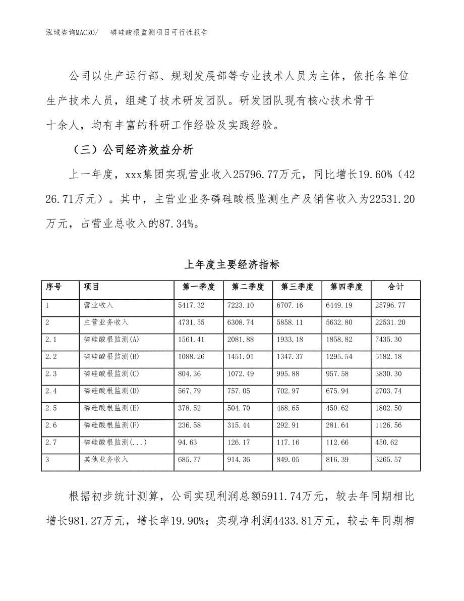 磷硅酸根监测项目可行性报告范文（总投资18000万元）.docx_第5页