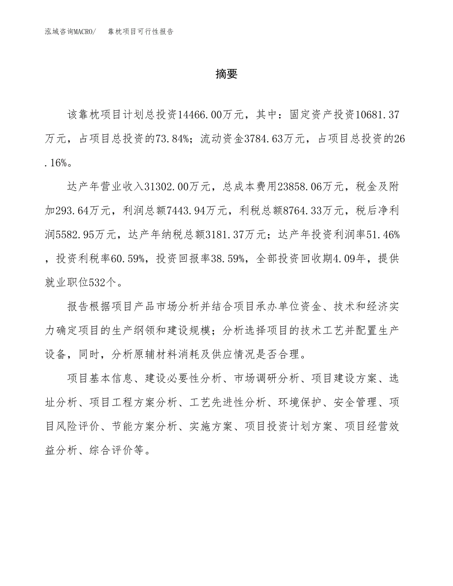 靠枕项目可行性报告范文（总投资14000万元）.docx_第2页