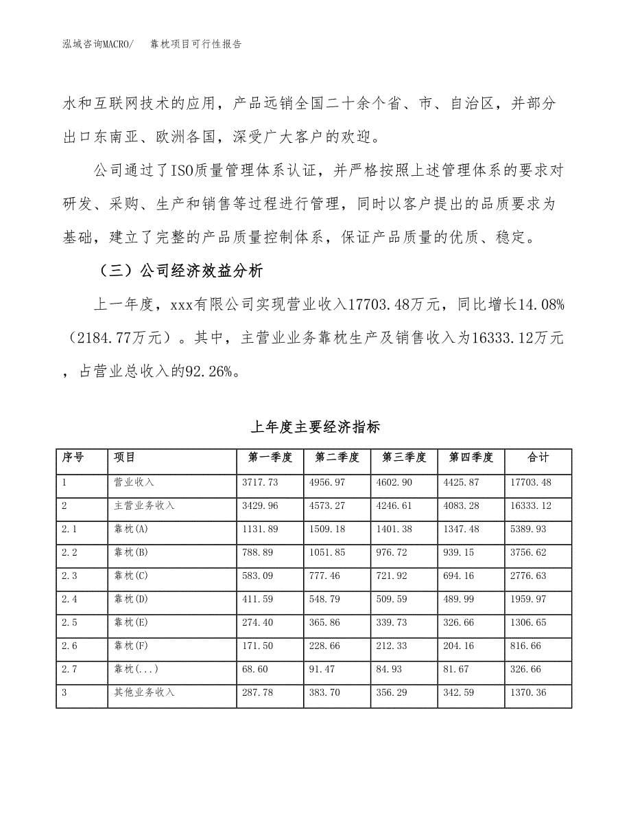 靠枕项目可行性报告范文（总投资14000万元）.docx_第5页