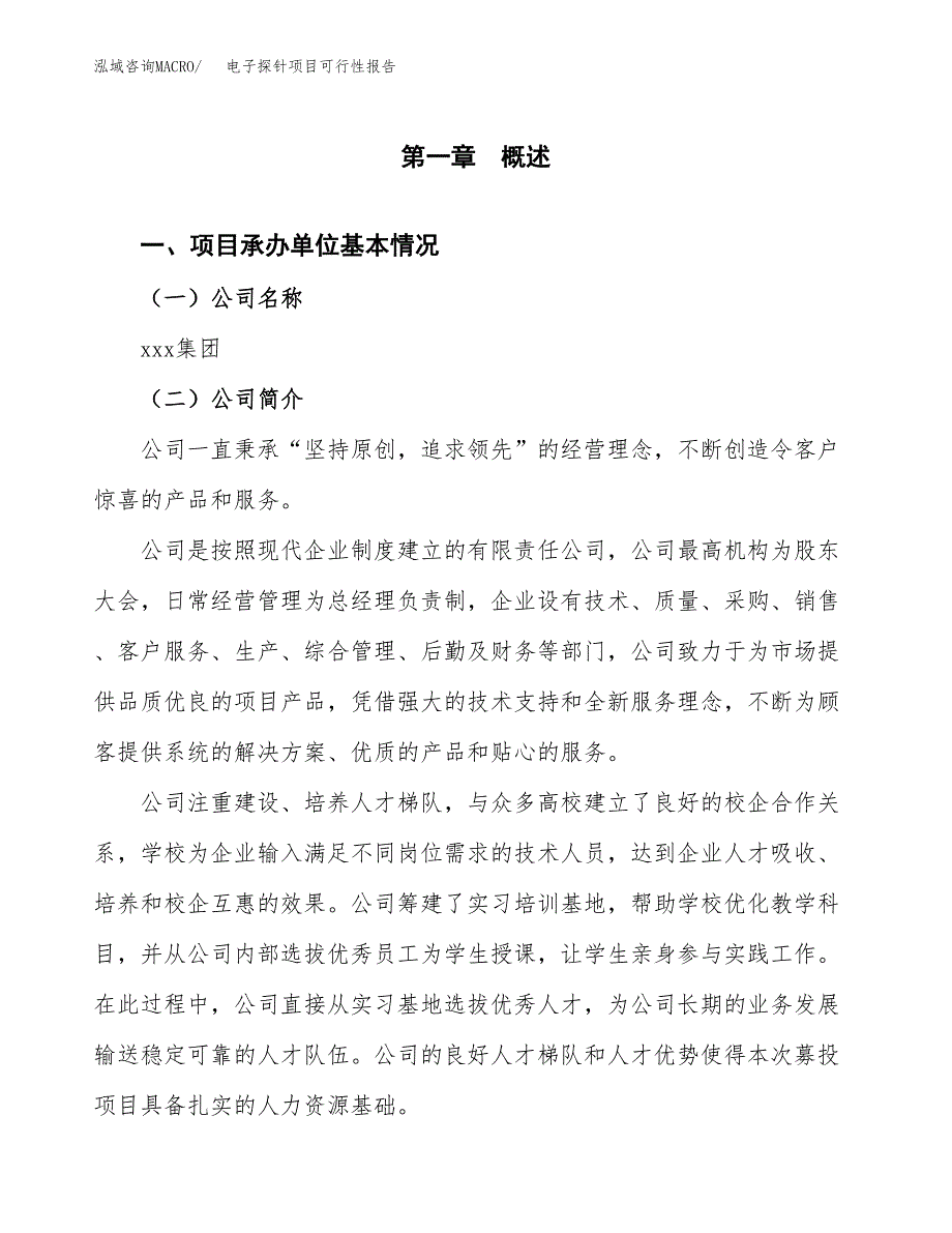 电子探针项目可行性报告范文（总投资14000万元）.docx_第4页