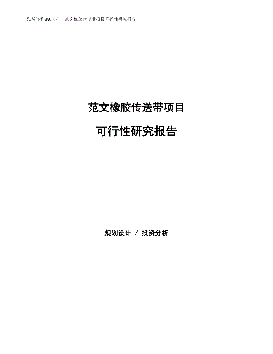 范文橡胶传送带项目可行性研究报告(立项申请).docx_第1页