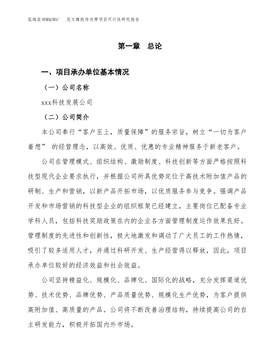 范文橡胶传送带项目可行性研究报告(立项申请).docx_第4页