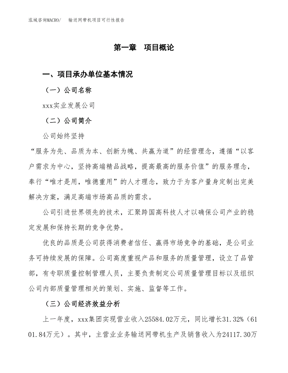 输送网带机项目可行性报告范文（总投资12000万元）.docx_第4页