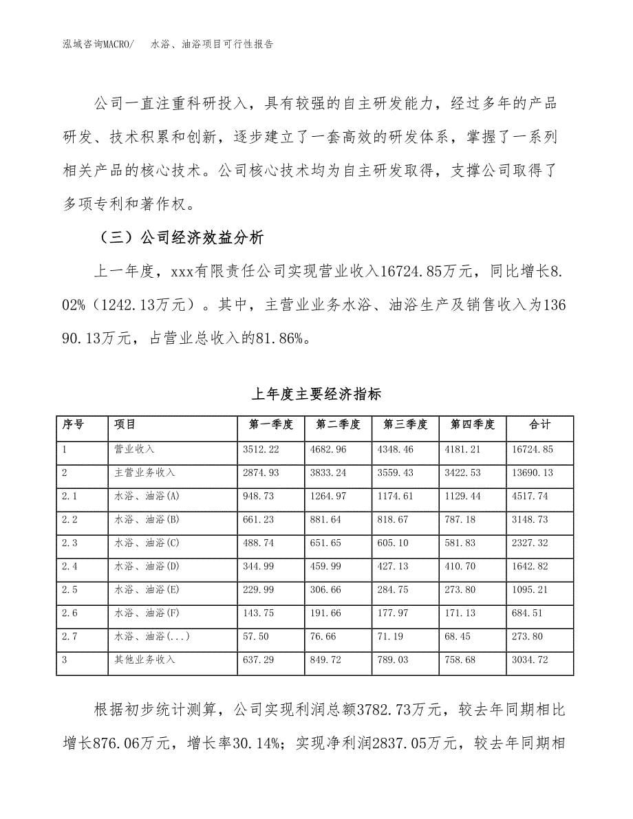 水浴、油浴项目可行性报告范文（总投资17000万元）.docx_第5页