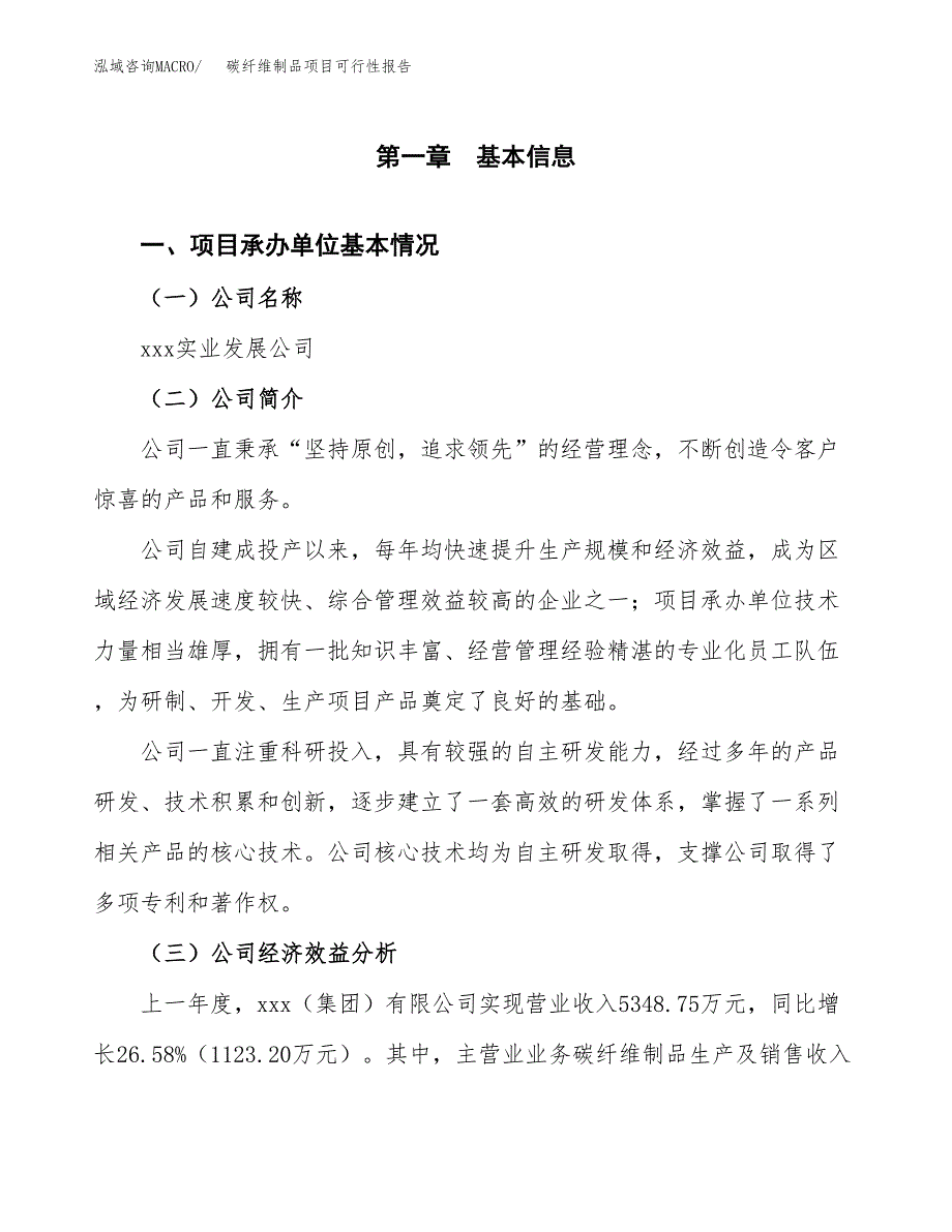 碳纤维制品项目可行性报告范文（总投资7000万元）.docx_第4页