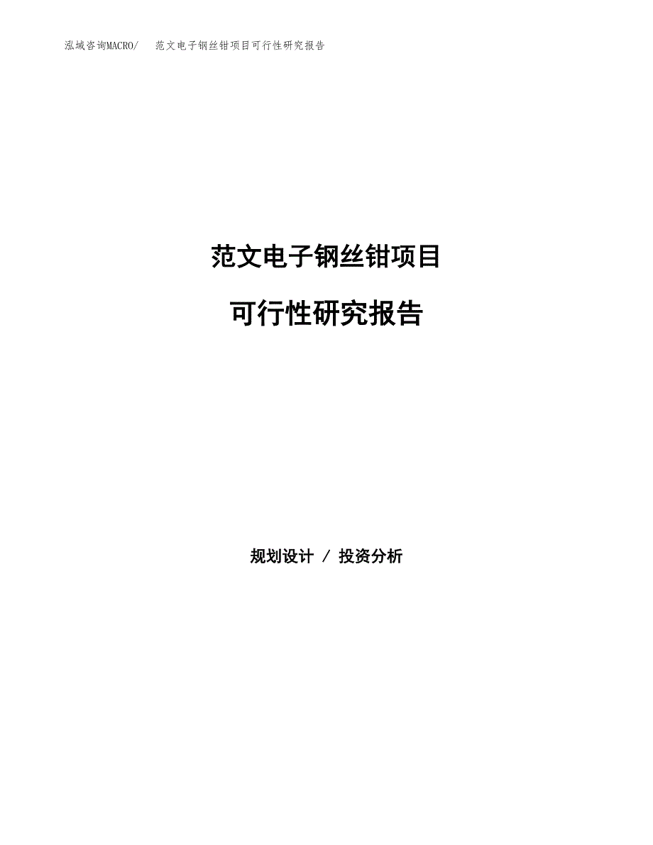 范文电子钢丝钳项目可行性研究报告(立项申请).docx_第1页