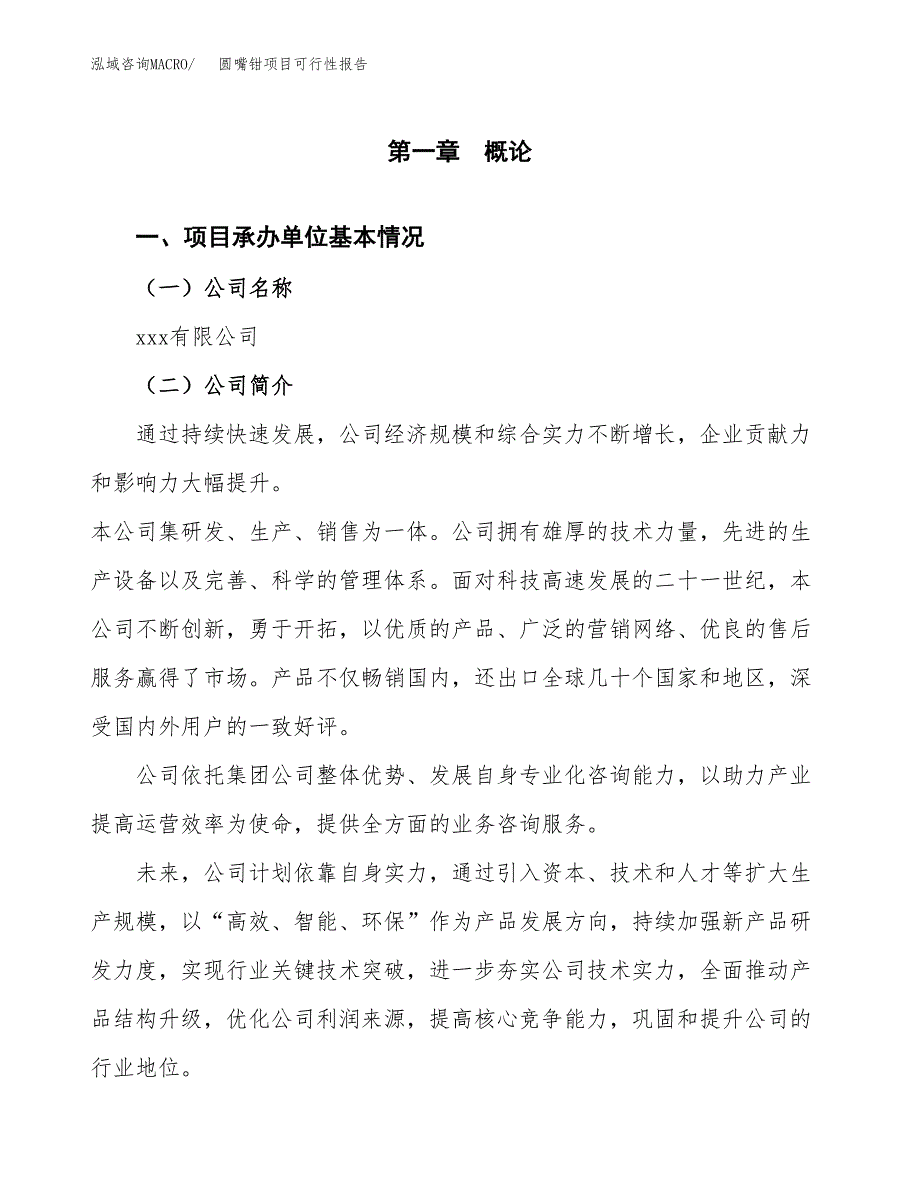 圆嘴钳项目可行性报告范文（总投资6000万元）.docx_第4页