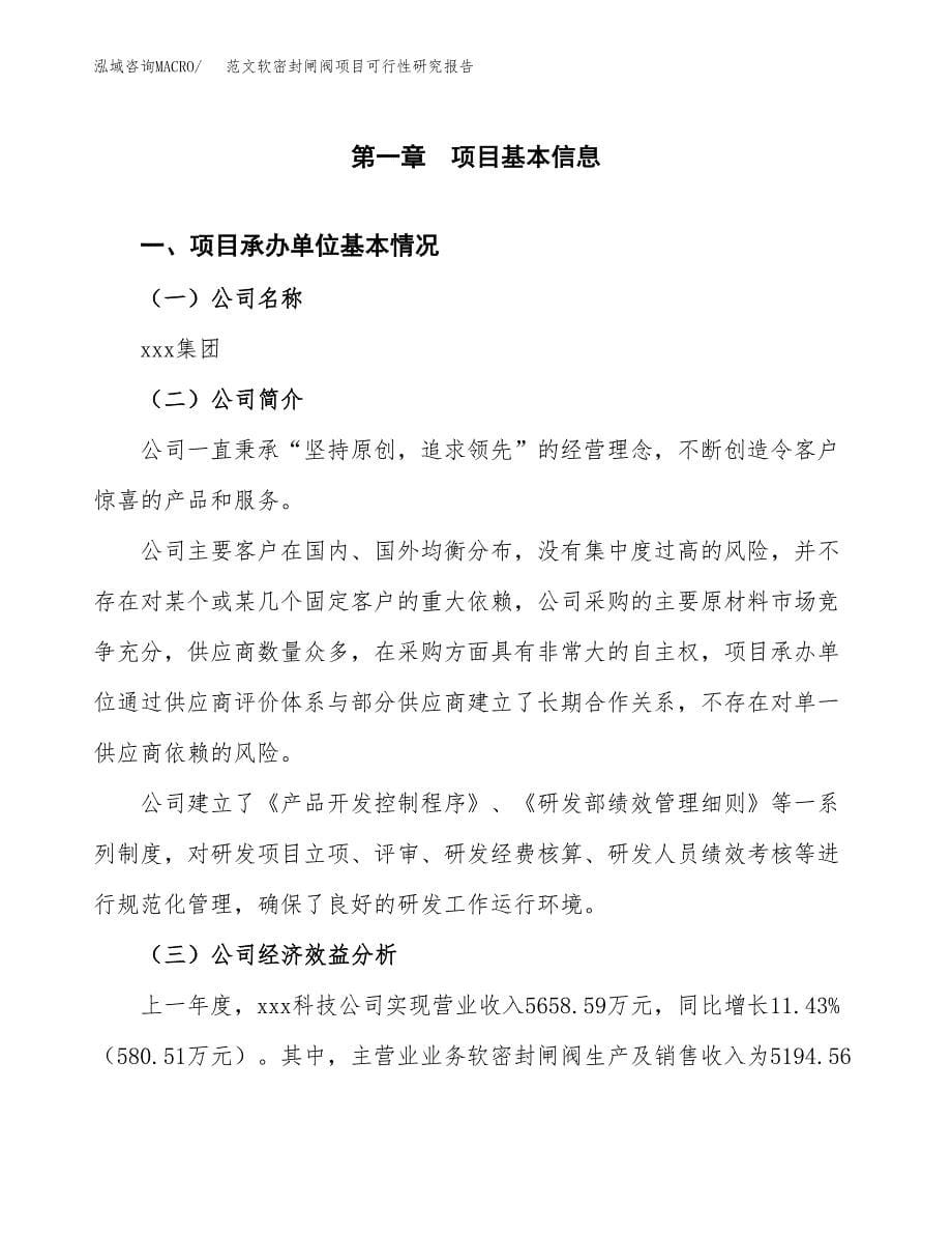 范文软密封闸阀项目可行性研究报告(立项申请).docx_第5页