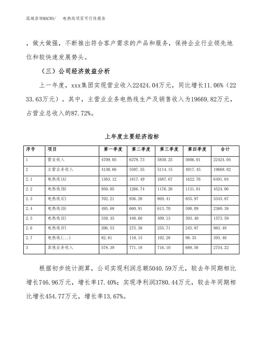 电热线项目可行性报告范文（总投资13000万元）.docx_第5页