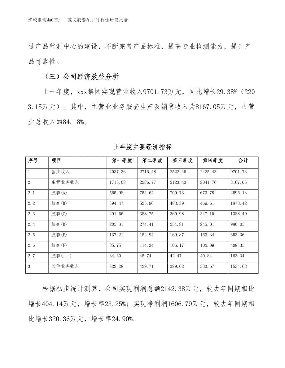 范文胶套项目可行性研究报告(立项申请).docx_第5页