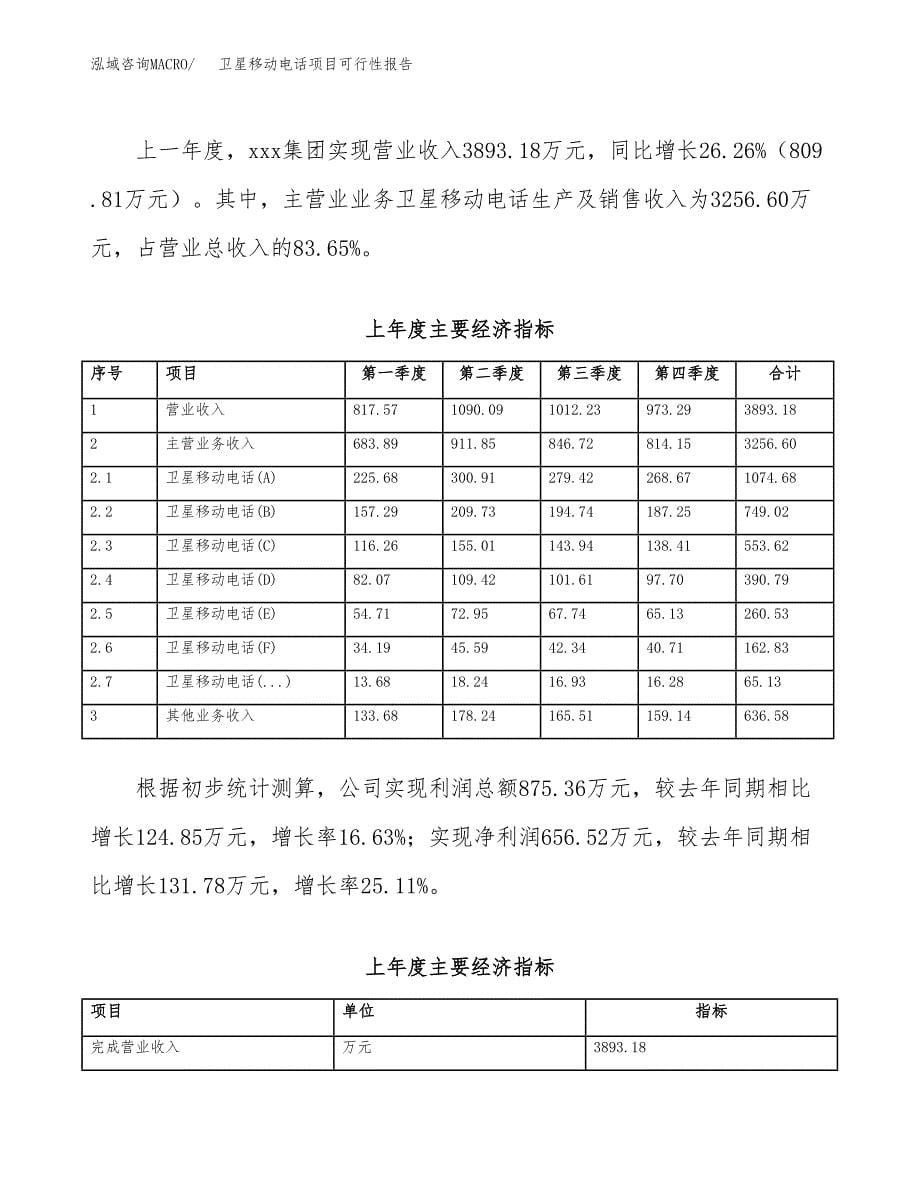 卫星移动电话项目可行性报告范文（总投资3000万元）.docx_第5页