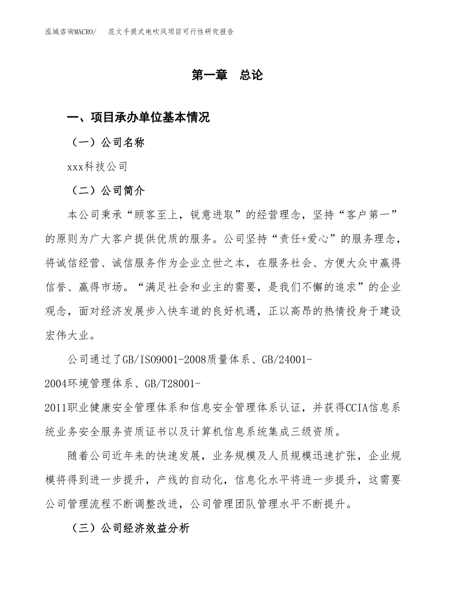 范文手提式电吹风项目可行性研究报告(立项申请).docx_第4页