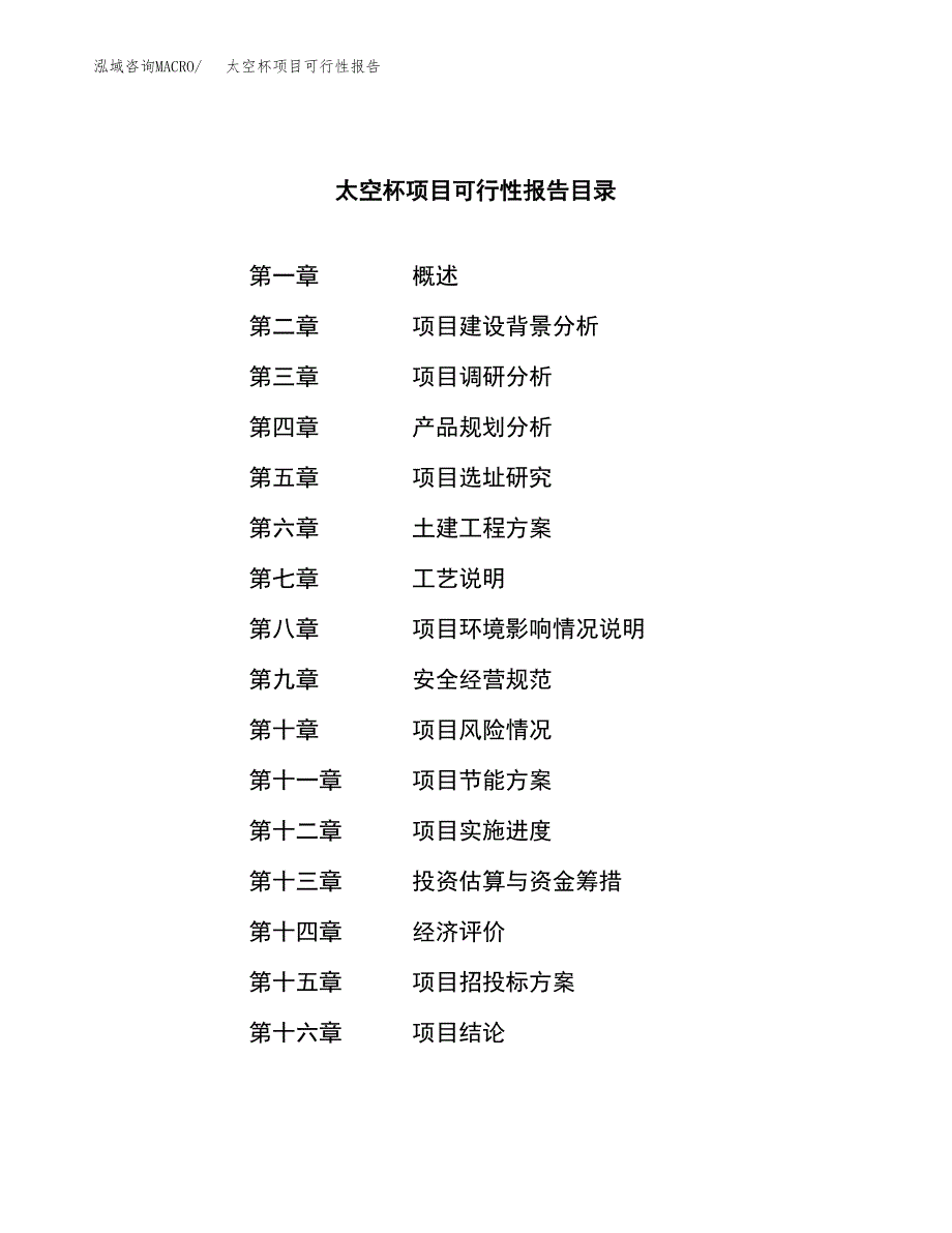 太空杯项目可行性报告范文（总投资8000万元）.docx_第3页