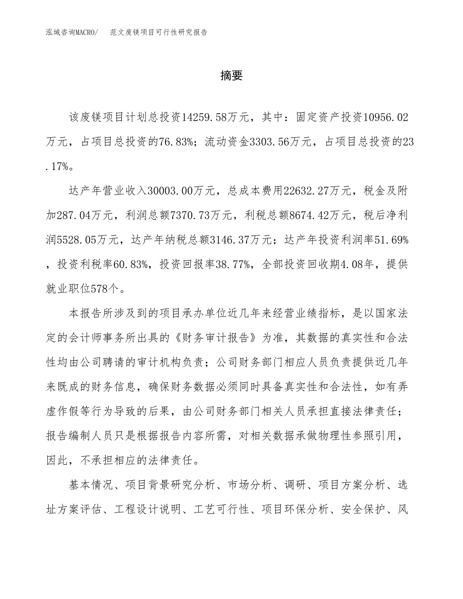 范文废镁项目可行性研究报告(立项申请).docx_第2页