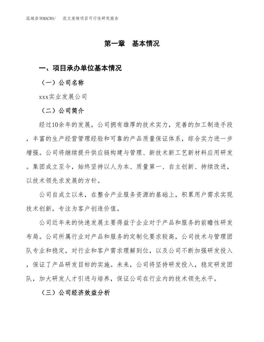 范文废镁项目可行性研究报告(立项申请).docx_第5页