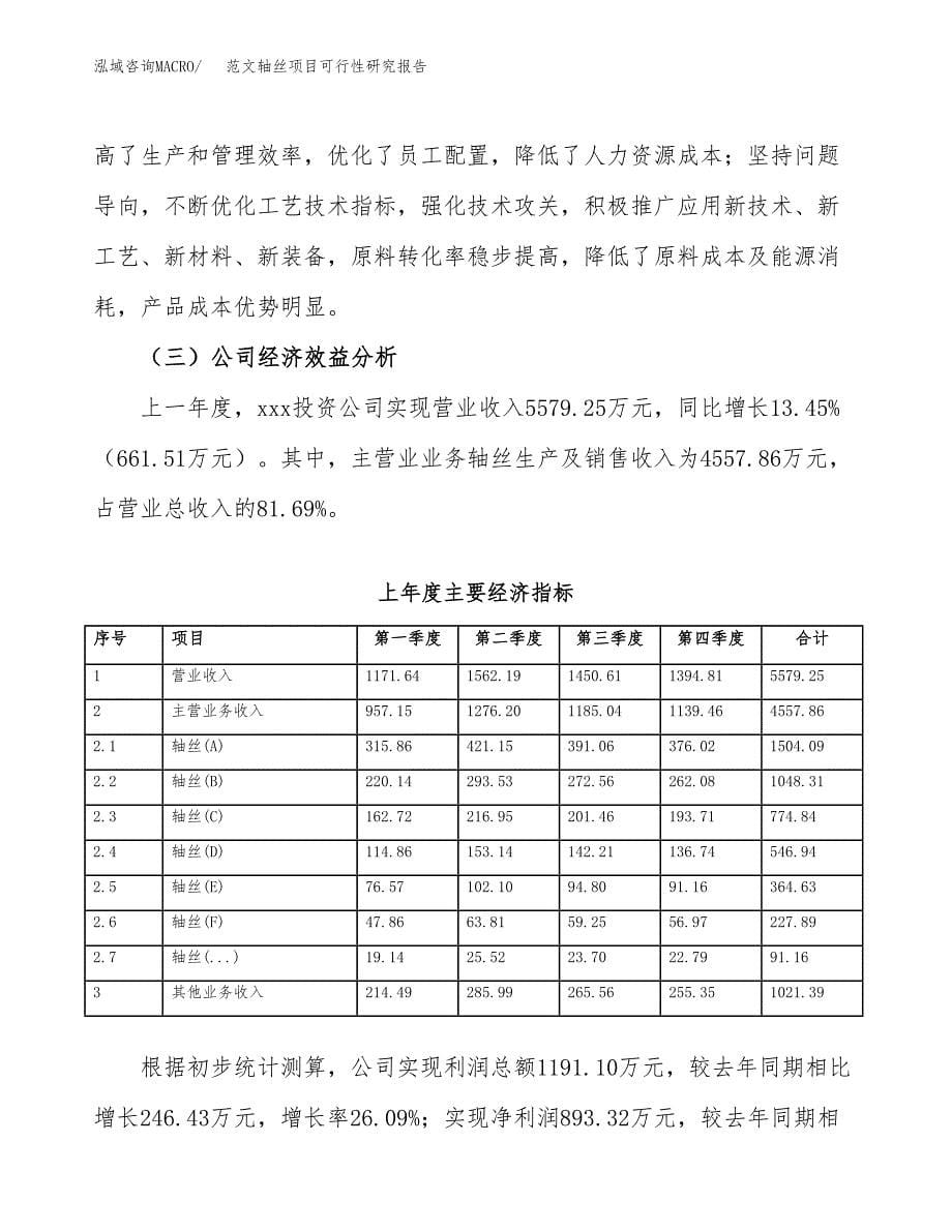 范文轴丝项目可行性研究报告(立项申请).docx_第5页