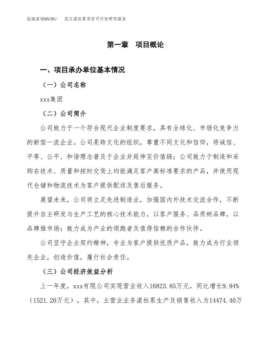 范文滚柱泵项目可行性研究报告(立项申请).docx_第5页