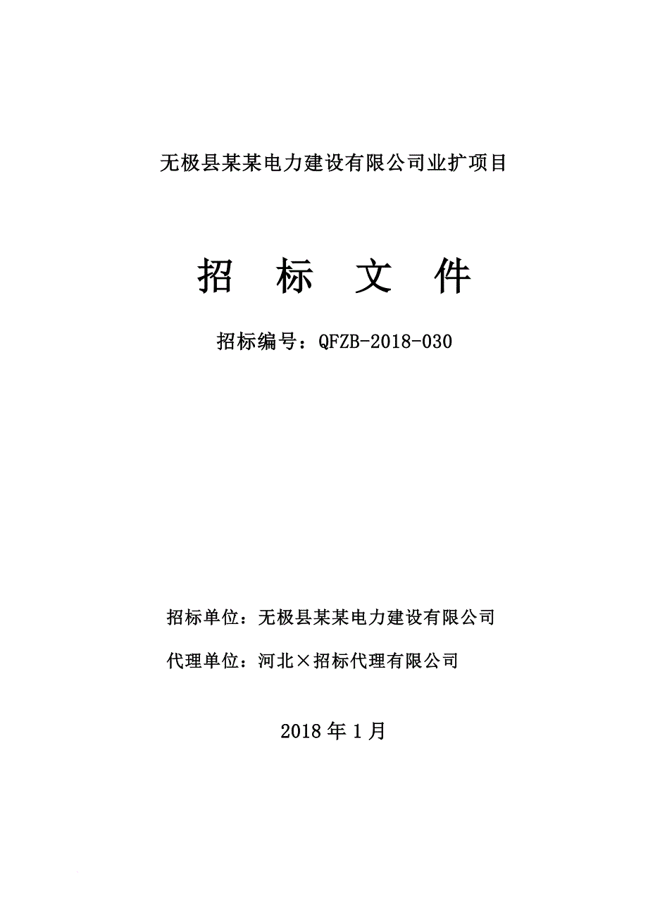 某电力建设有限公司业扩项目招标文件.doc_第1页