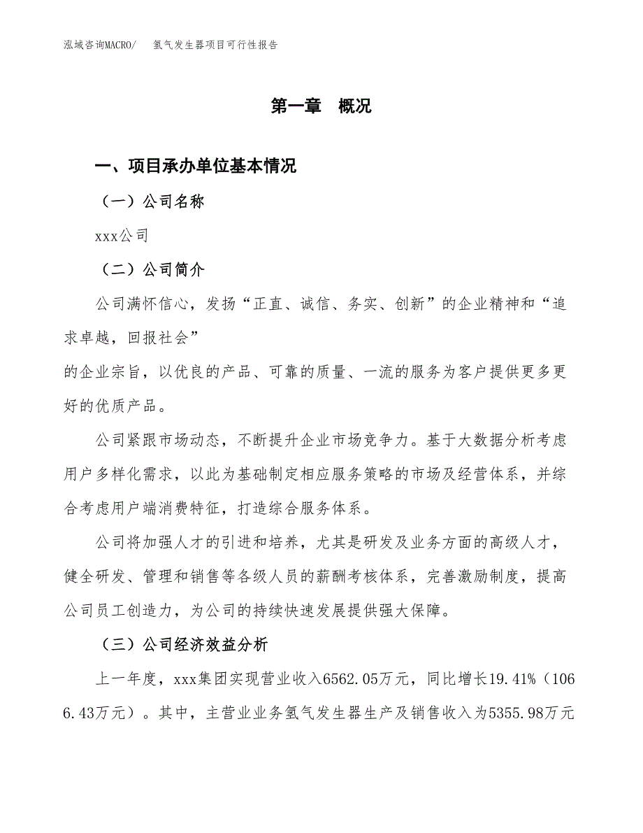 氢气发生器项目可行性报告范文（总投资4000万元）.docx_第4页