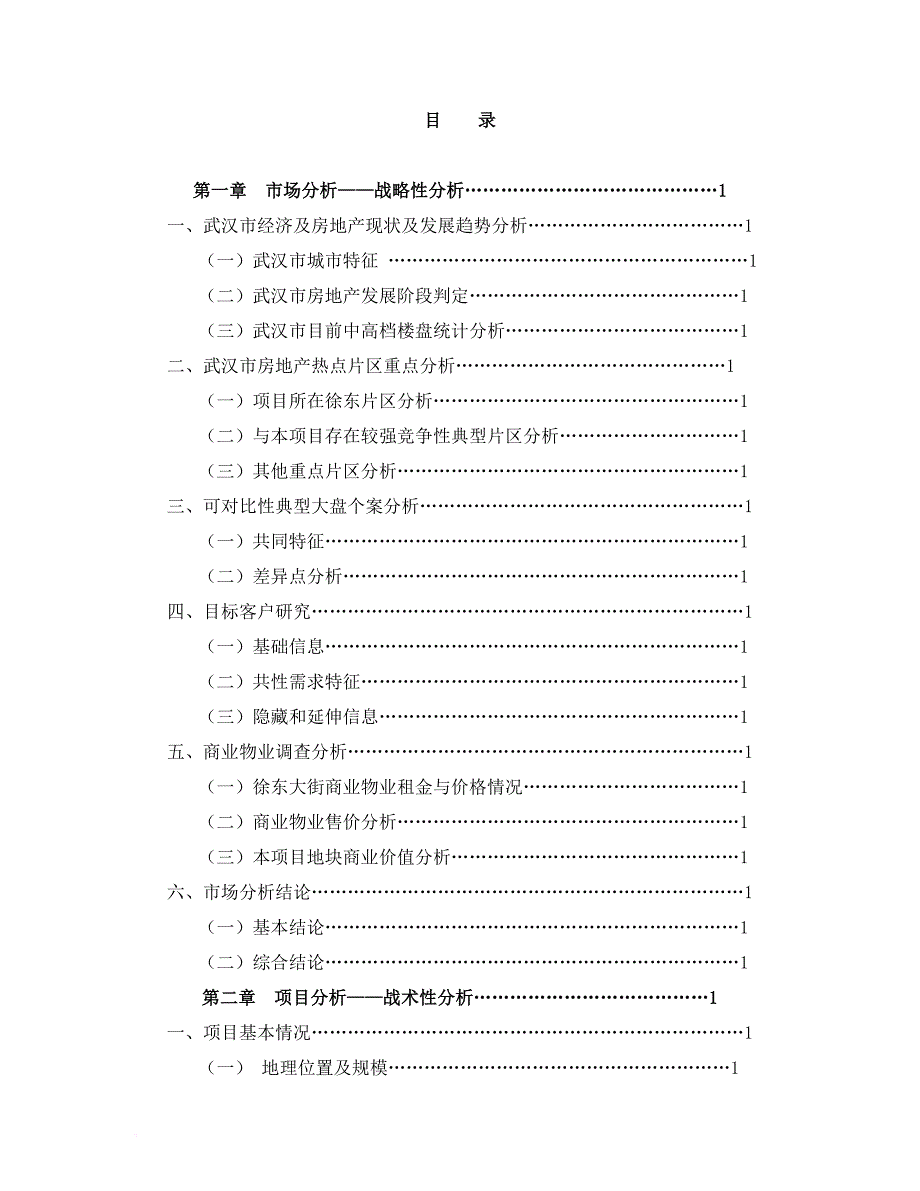 武汉某项目可行性分析报告.doc_第4页