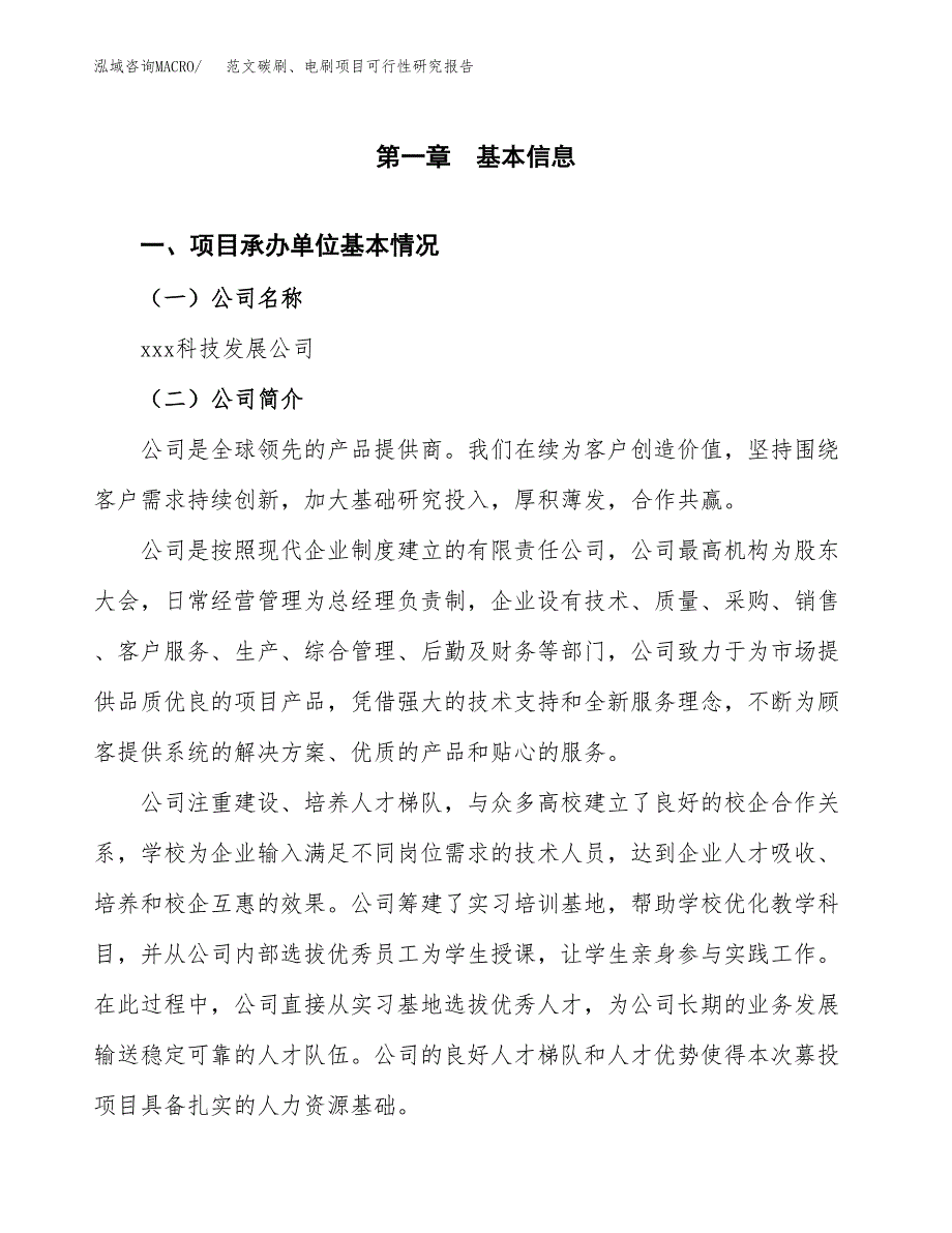 范文碳刷、电刷项目可行性研究报告(立项申请).docx_第4页