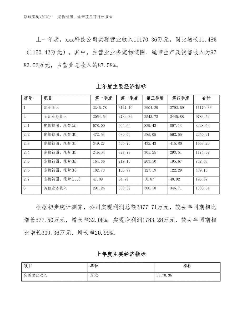 宠物链圈、绳带项目可行性报告范文（总投资9000万元）.docx_第5页