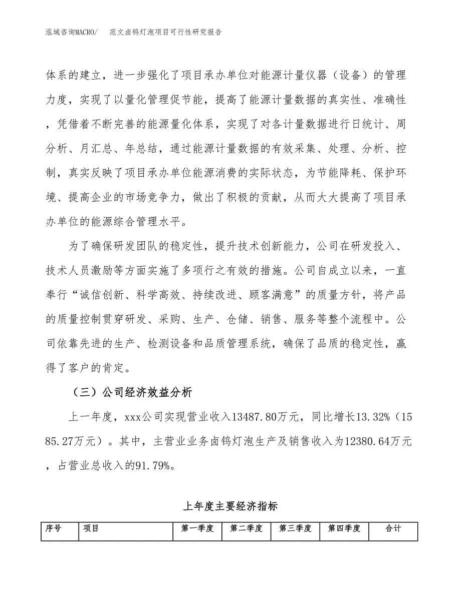 范文卤钨灯泡项目可行性研究报告(立项申请).docx_第5页