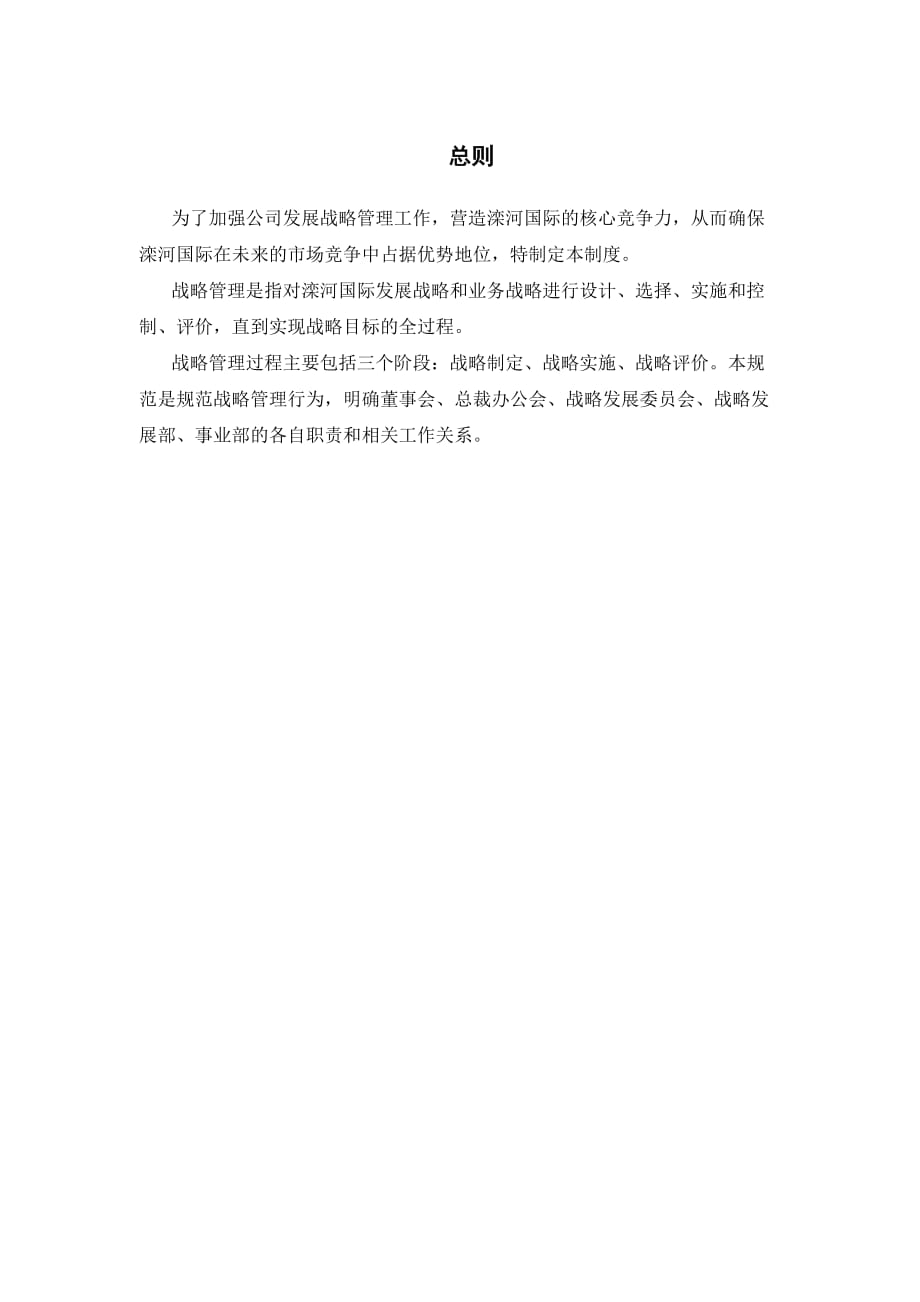 某公司发展战略管理办法.doc_第3页