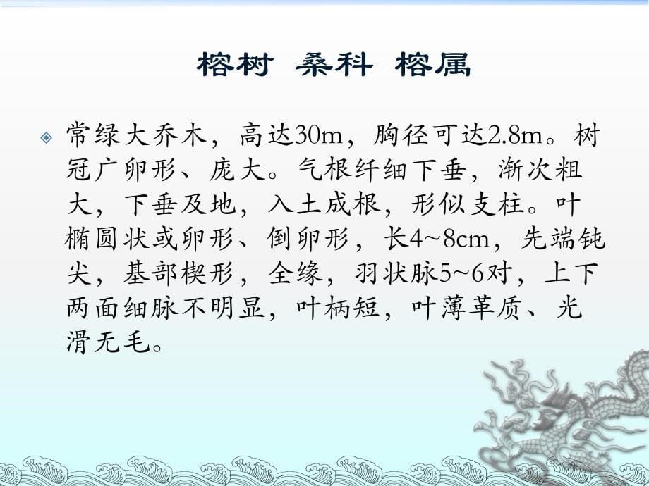 常绿乔木_第5页