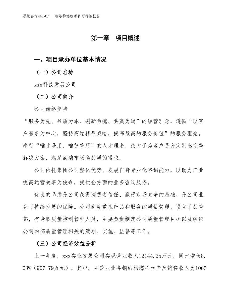 钢结构螺栓项目可行性报告范文（总投资10000万元）.docx_第5页