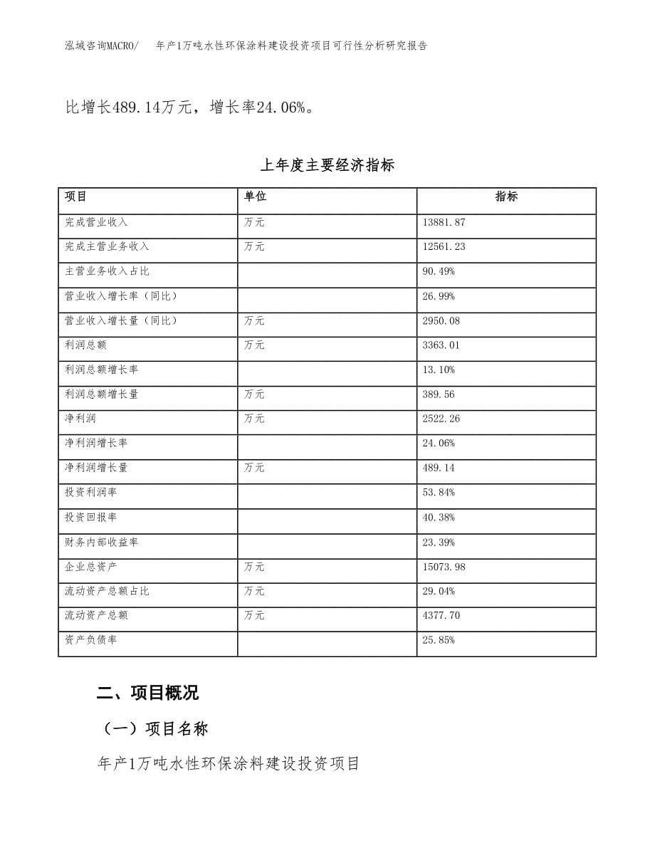 年产1万吨水性环保涂料建设投资项目可行性分析研究报告 (40)_第5页