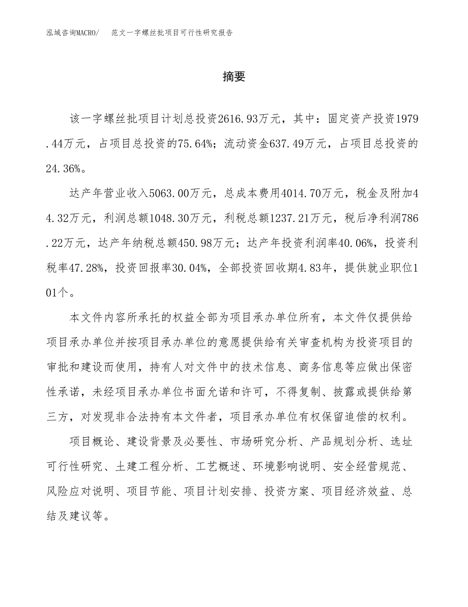 范文一字螺丝批项目可行性研究报告(立项申请).docx_第2页