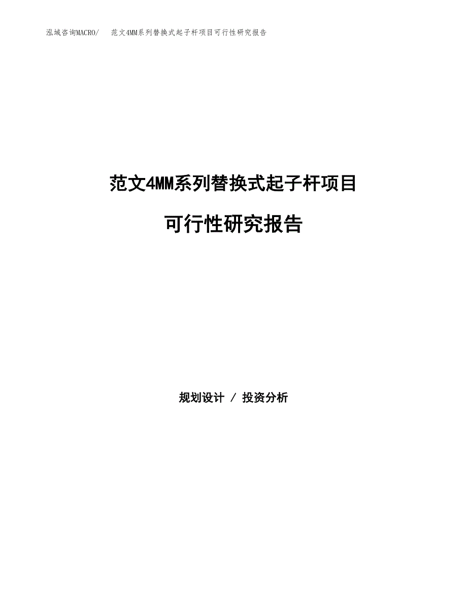 范文4MM系列替换式起子杆项目可行性研究报告(立项申请).docx_第1页